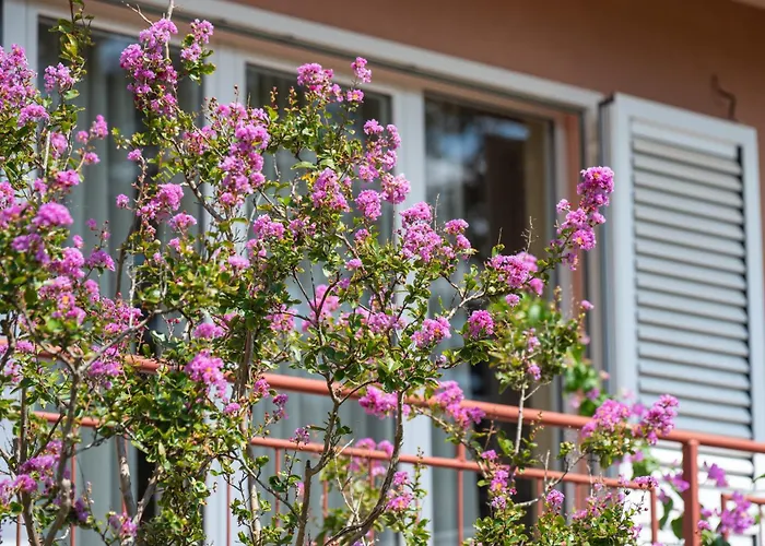 Rubina, 2 Bedrooms, Big Terrace And Secure Parking Medulin