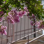 Rubina, 2 Bedrooms, Big Terrace And Secure Parking Медулин