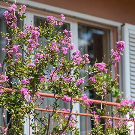 Rubina, 2 Bedrooms, Big Terrace And Secure Parking Medolino