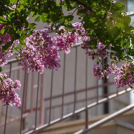 Rubina, 2 Bedrooms, Big Terrace And Secure Parking Medolino